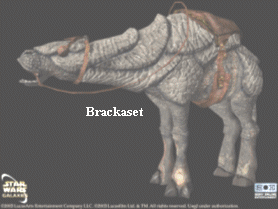 Brackaset