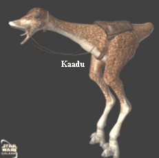 Kaadu