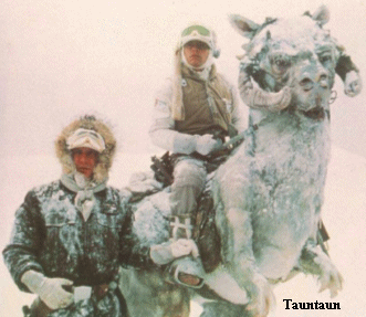 Tauntaun
